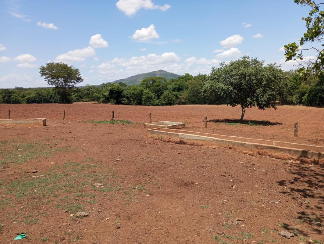 Fazenda, Centro, 0 Quarto, 0 Vaga