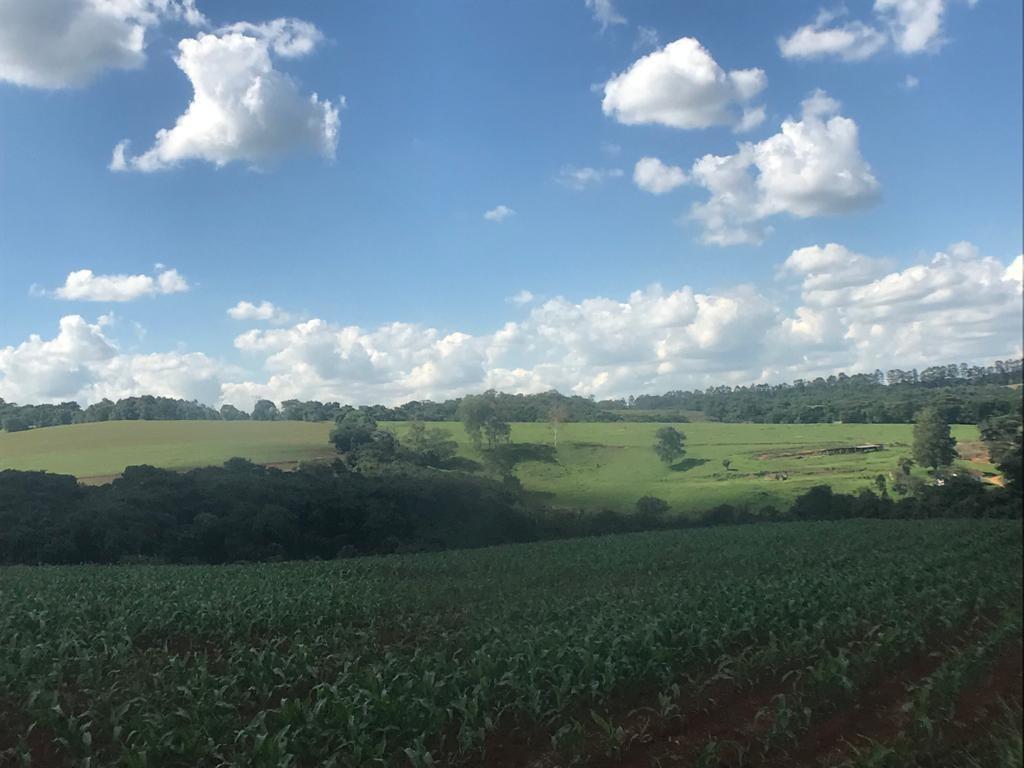 Fazenda, Zona Rural, 3 Quartos, 2 Vagas
