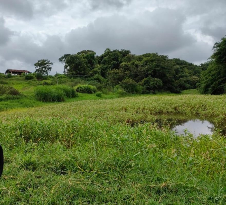 Fazenda, Zona Rural, 5 Quartos, 0 Vaga
