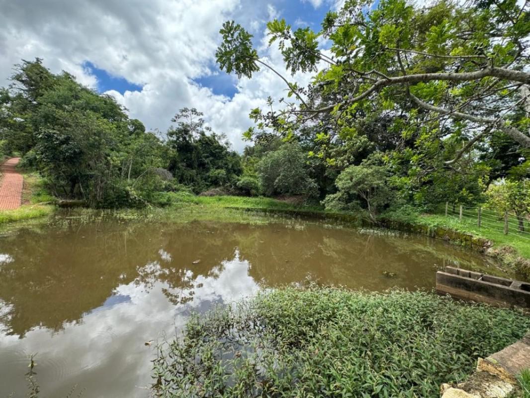 Lote, Bela Vista, 0 Quarto, 0 Vaga