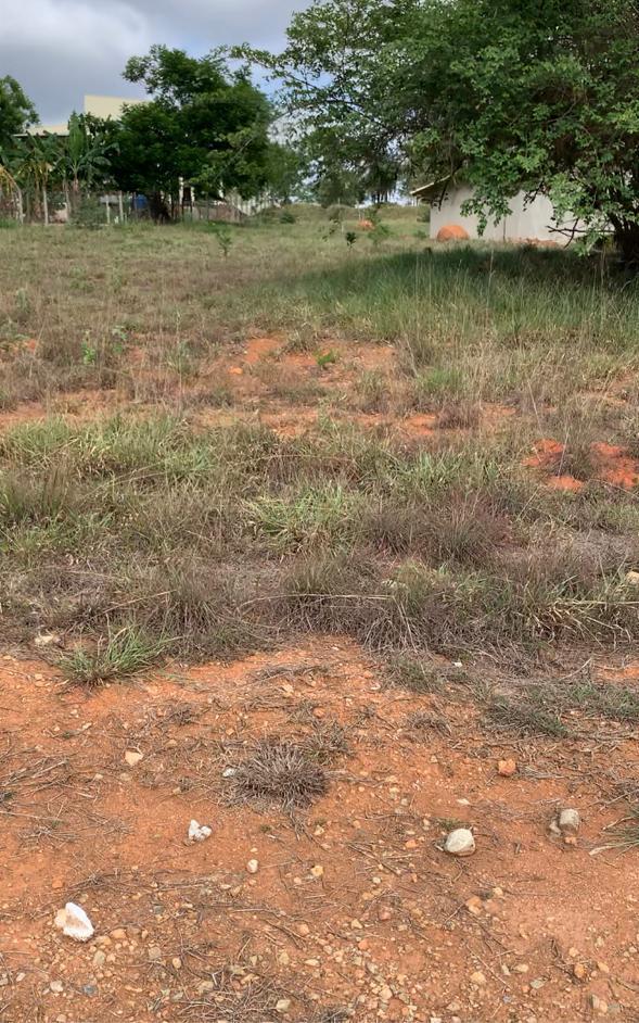 Lote, Fazenda Coqueiral, 0 Quarto, 0 Vaga