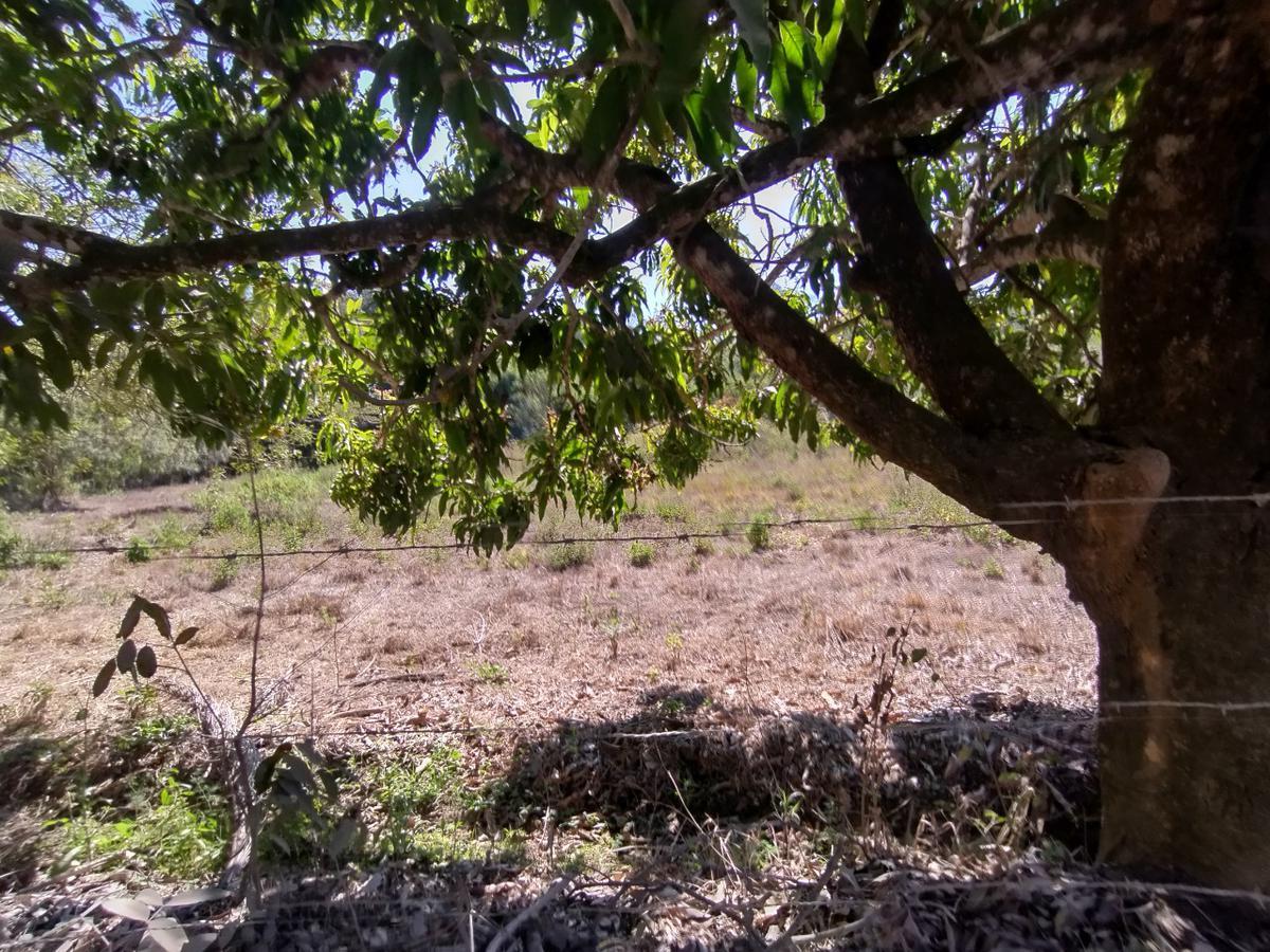 Lote, Zona Rural, 0 Quarto, 0 Vaga