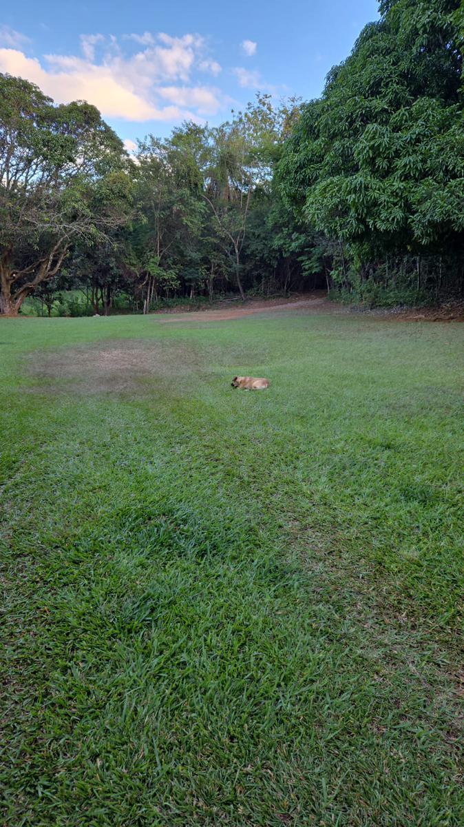 Fazenda, Ravena, 3 Quartos, 20 Vagas, 1 Suíte