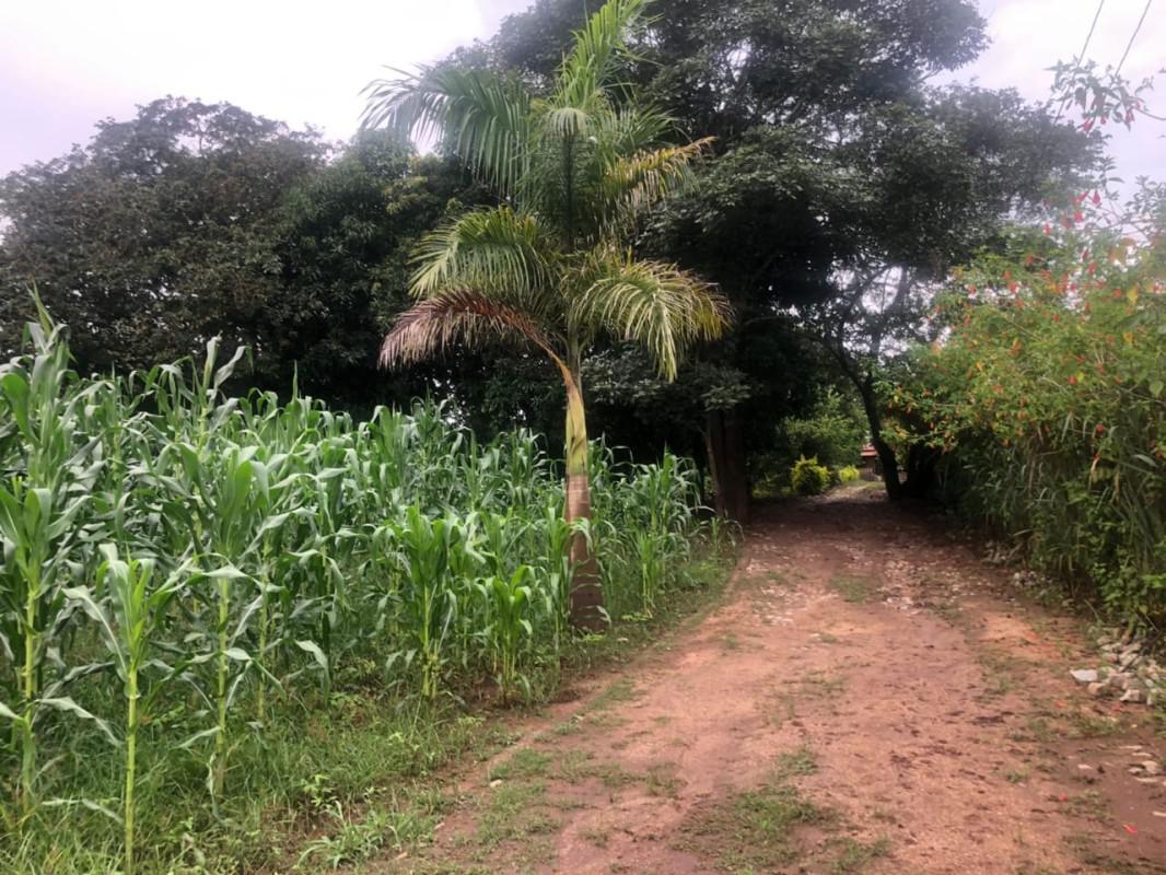 Fazenda, Centro, 4 Quartos, 0 Vaga