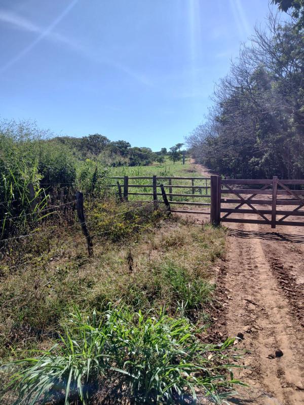 Fazenda, Centro, 0 Quarto, 0 Vaga