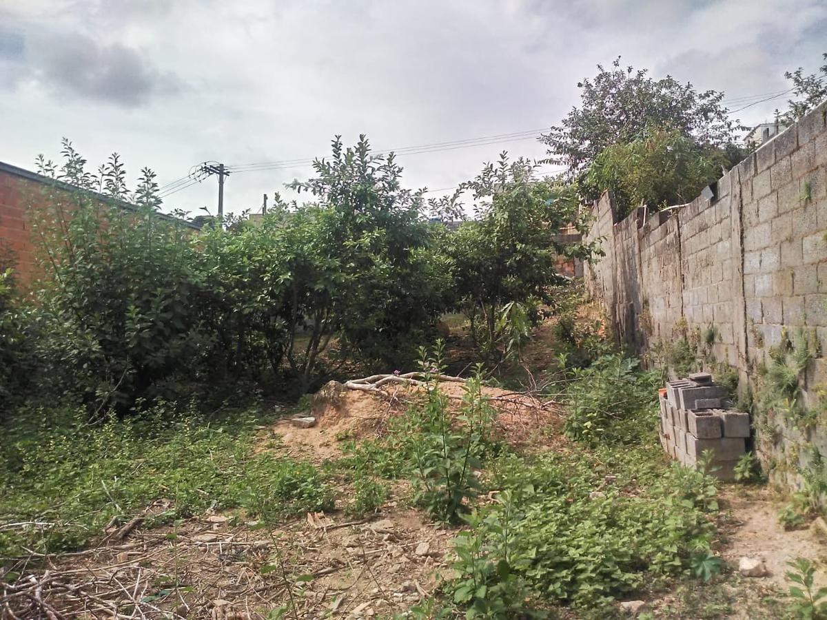 Lote, União, 0 Quarto, 0 Vaga