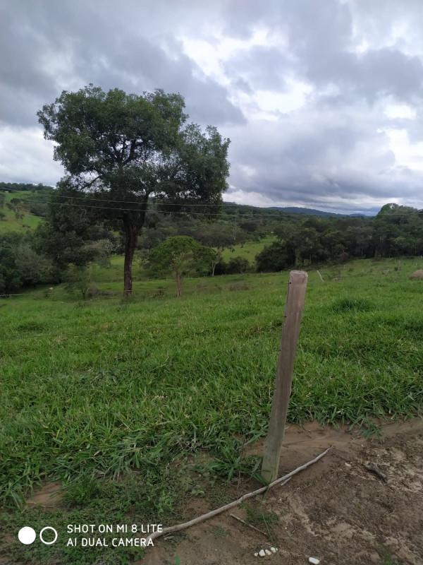Fazenda, Centro, 0 Quarto, 0 Vaga