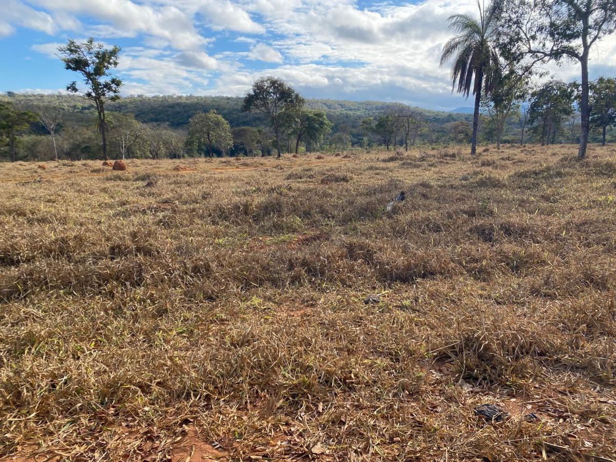 Lote, Centro, 0 Quarto, 0 Vaga
