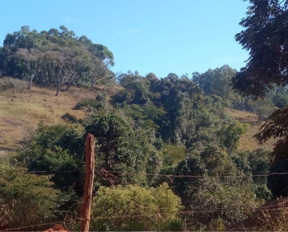 Fazenda, Zona Rural, 0 Quarto, 0 Vaga