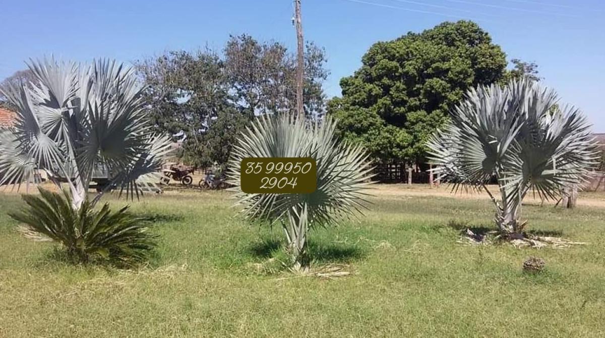 Fazenda, Zona Rural, 0 Quarto, 0 Vaga
