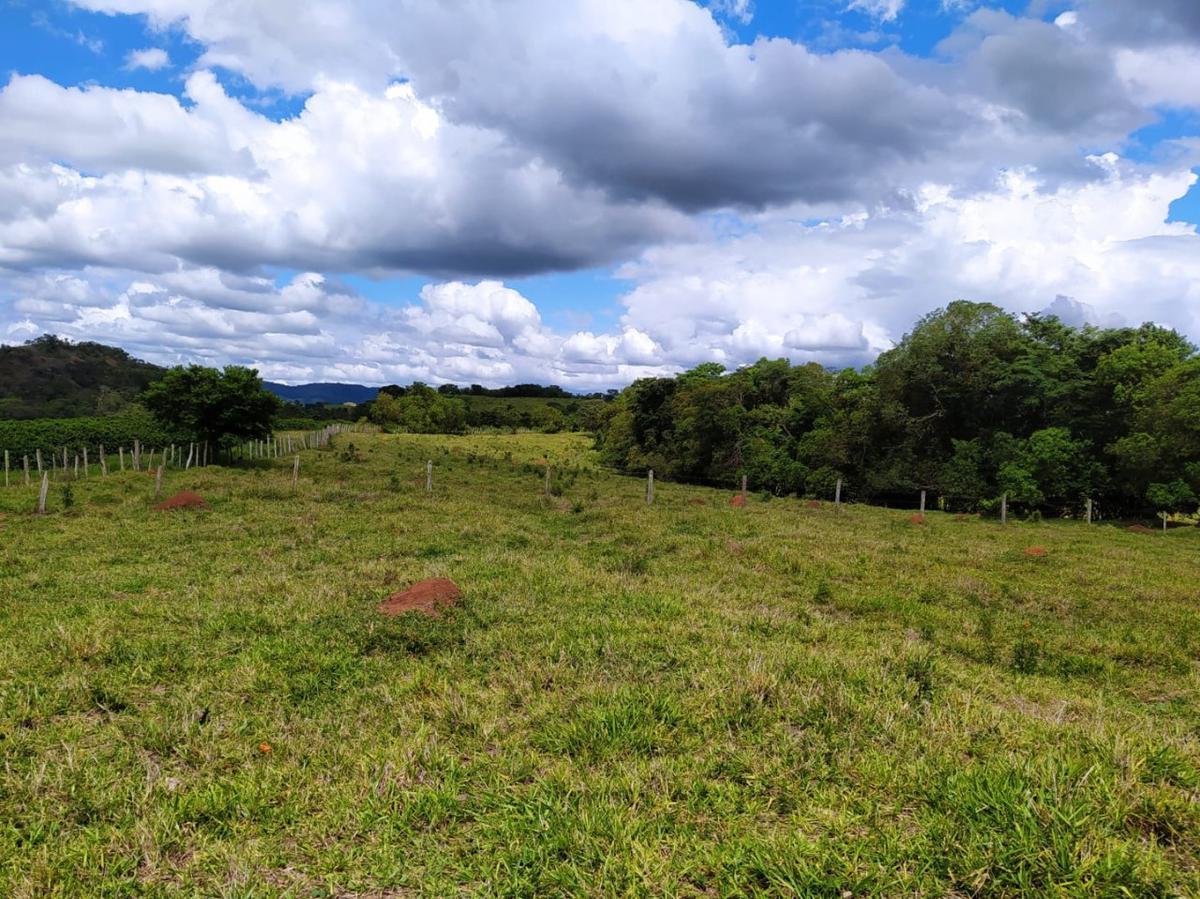 Fazenda, Centro, 1 Quarto, 1 Vaga