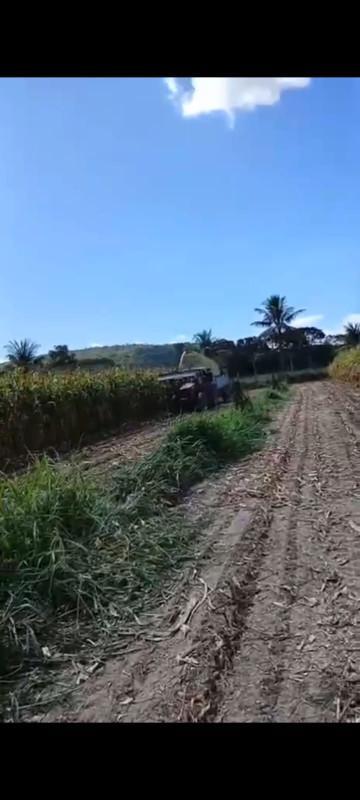 Fazenda, Zona Rural, 0 Quarto, 0 Vaga