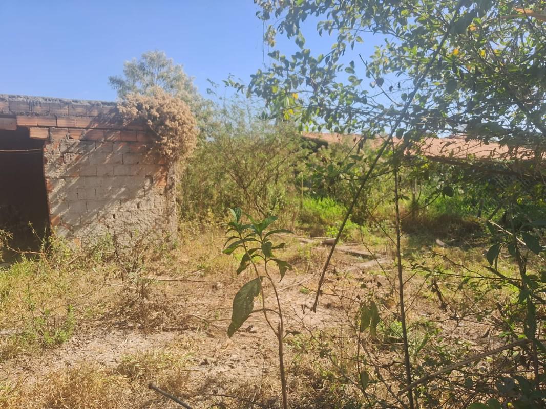 Lote, Parque Lagoa das Flores, 0 Quarto, 0 Vaga