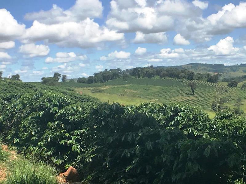 Fazenda, Zona Rural, 0 Quarto, 0 Vaga