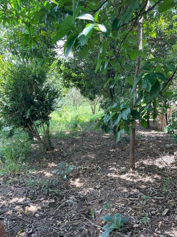 Fazenda, Bom Jardim, 2 Quartos, 2 Vagas, 1 Suíte