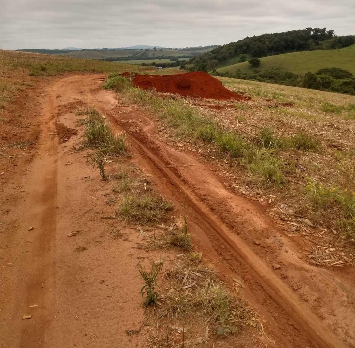 Fazenda, Centro, 0 Quarto, 0 Vaga