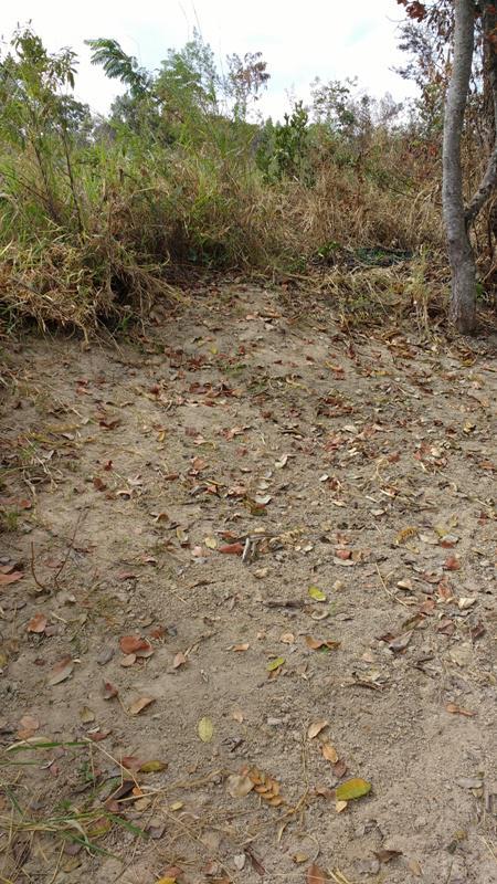 Lote, Centro, 0 Quarto, 1 Vaga