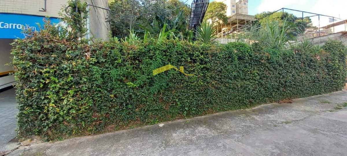 Lote, Estoril