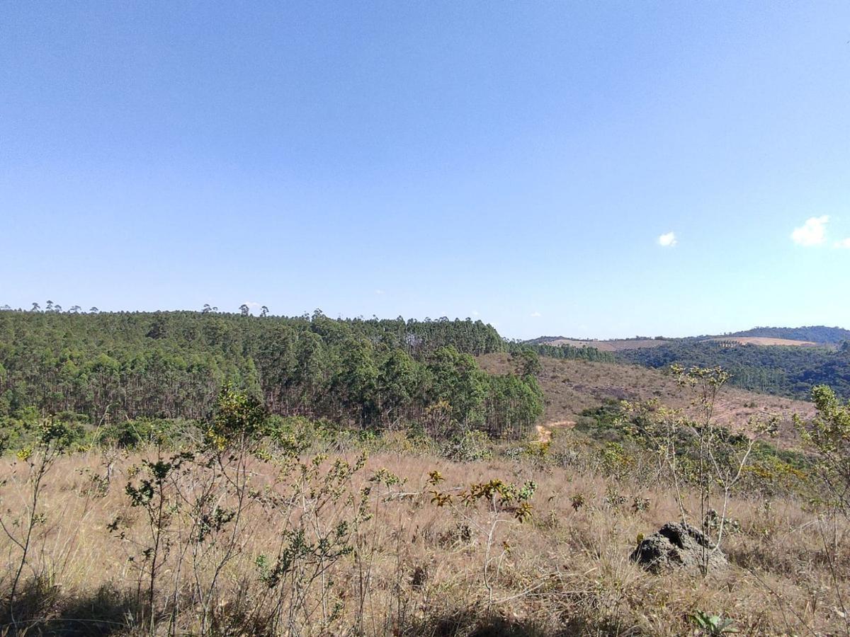 Lote, Penedo, 0 Quarto, 0 Vaga