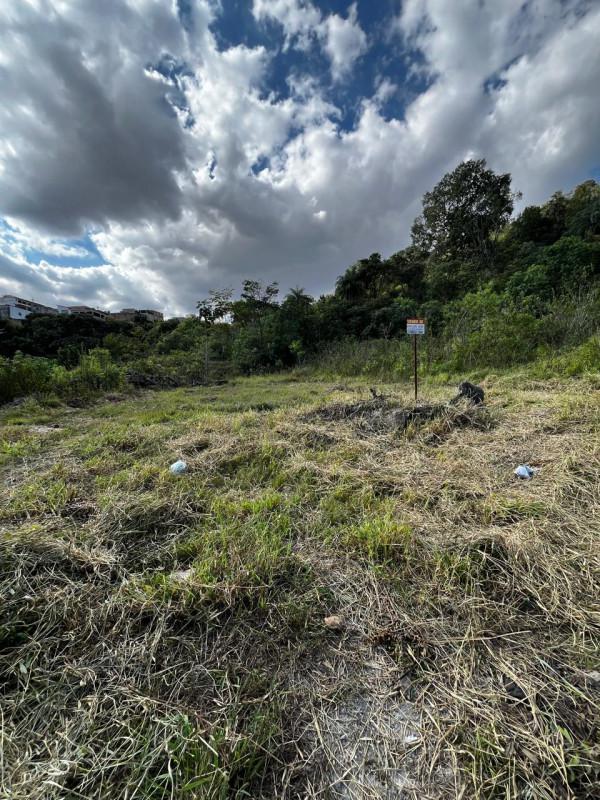 Lote, Palmeiras, 0 Quarto, 0 Vaga