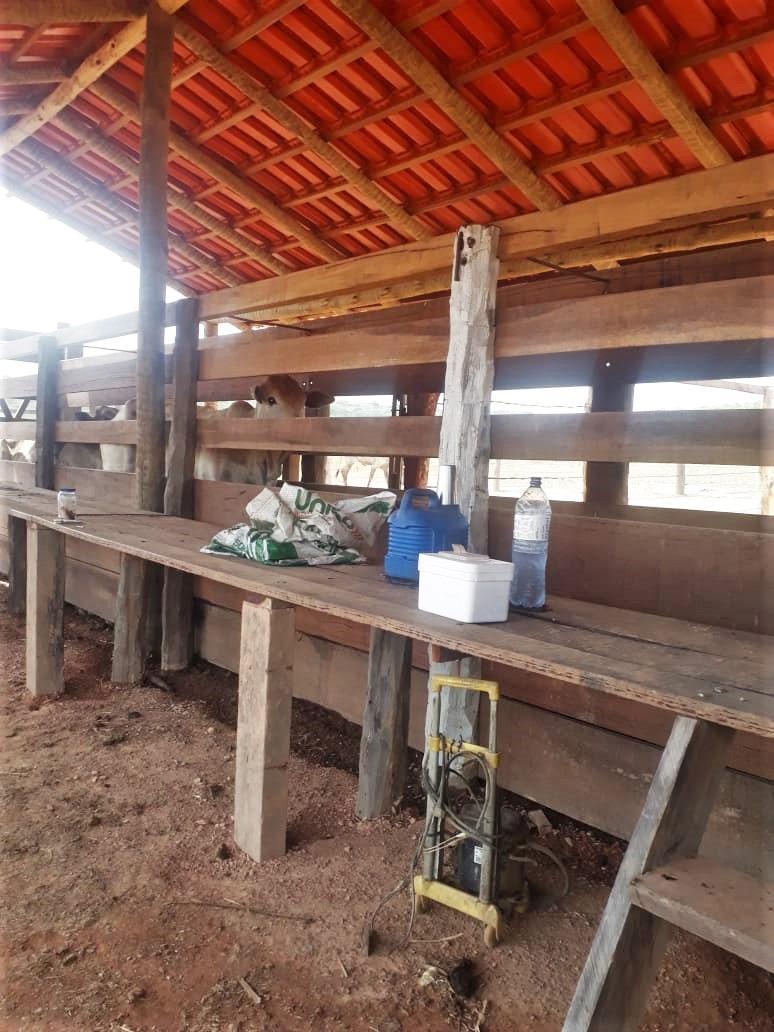 Fazenda, Centro, 4 Quartos, 2 Vagas