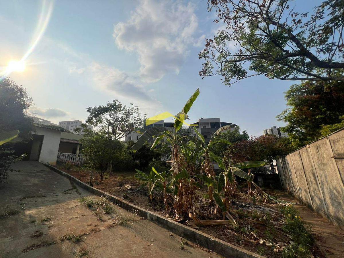 Lote, Cinquentenário, 5 Vagas