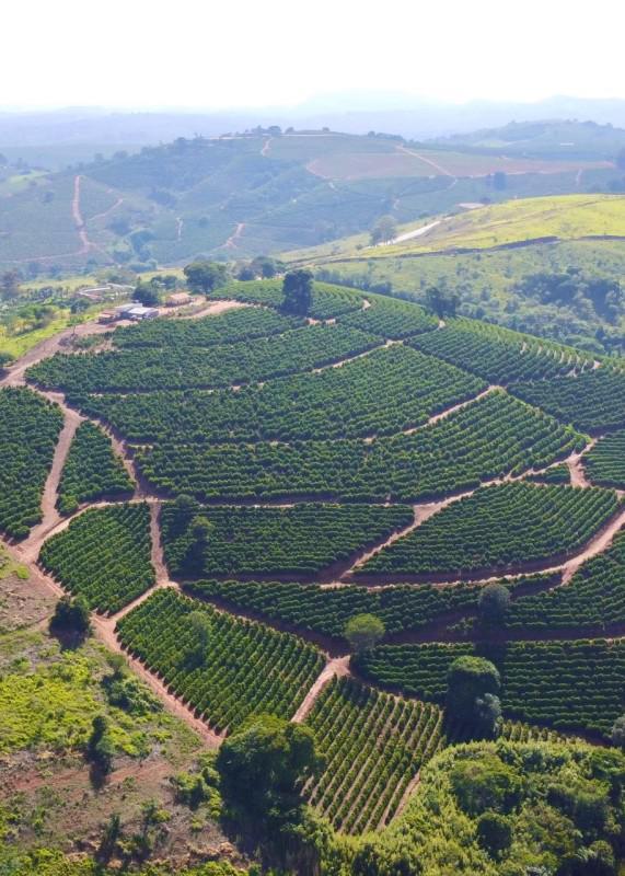 Fazenda, Centro, 0 Quarto, 0 Vaga