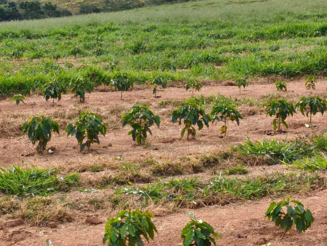 Fazenda, Zona Rural, 0 Quarto, 0 Vaga