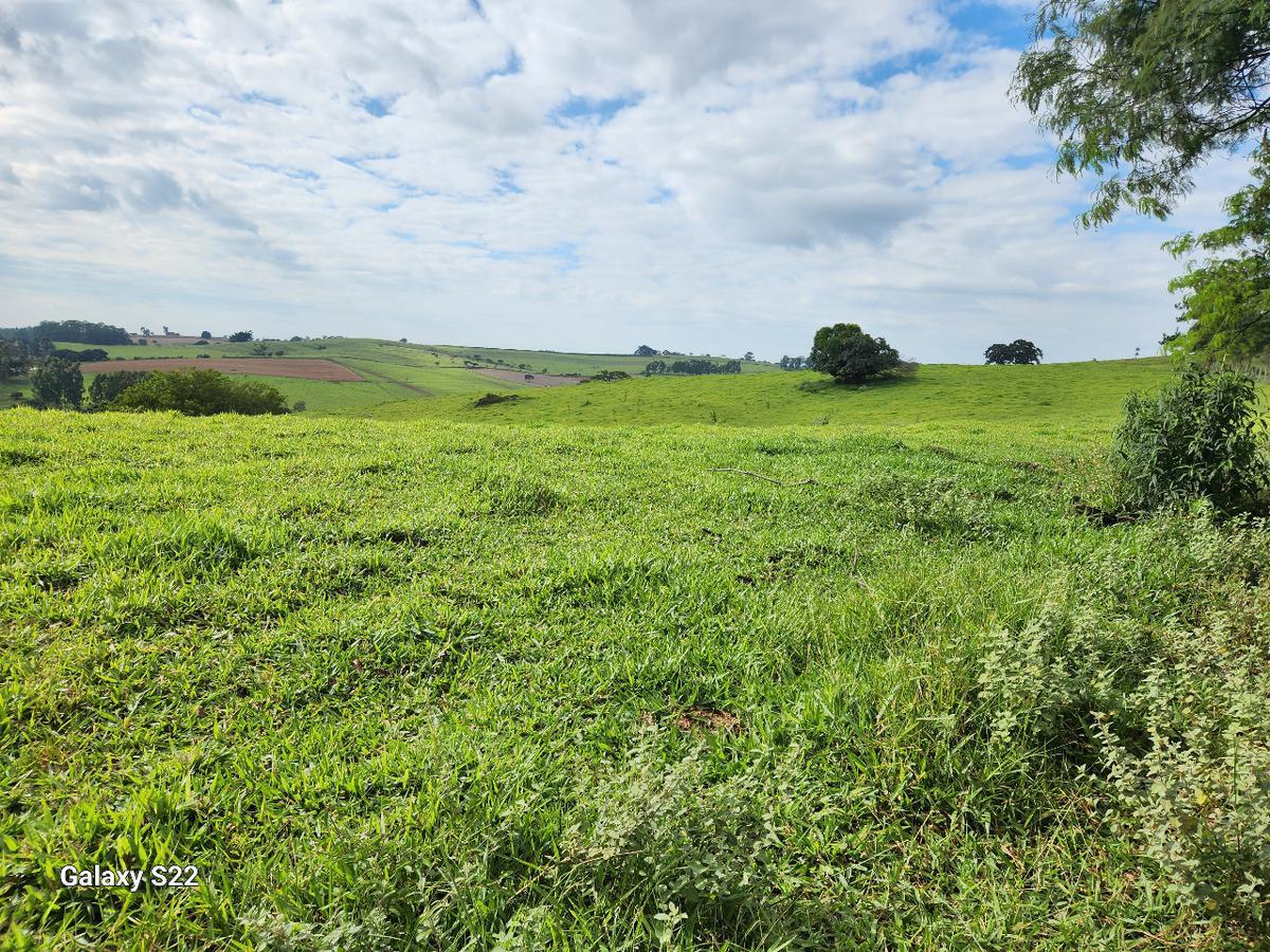Fazenda, Centro, 2 Quartos, 0 Vaga