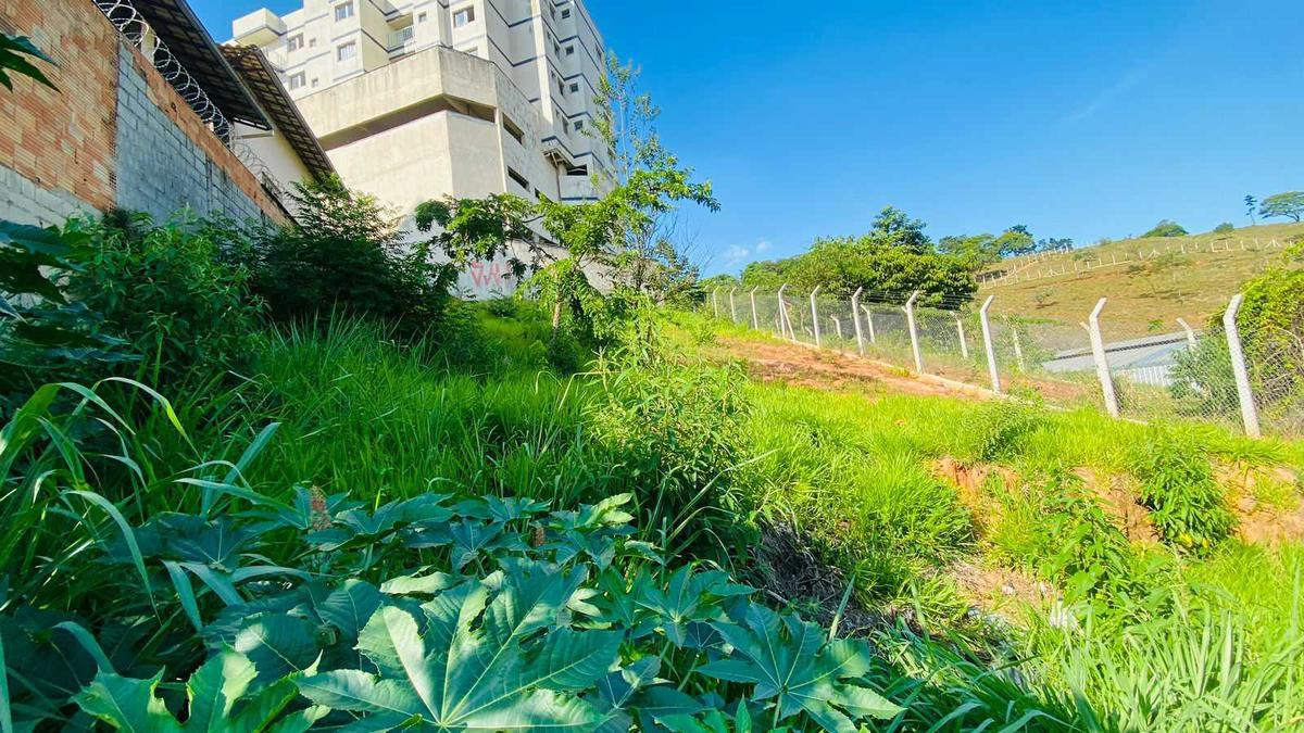 Lote, Manacás, 0 Quarto, 0 Vaga