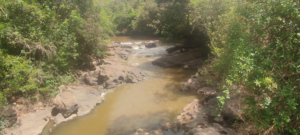 Fazenda, Centro, 3 Quartos, 1 Vaga