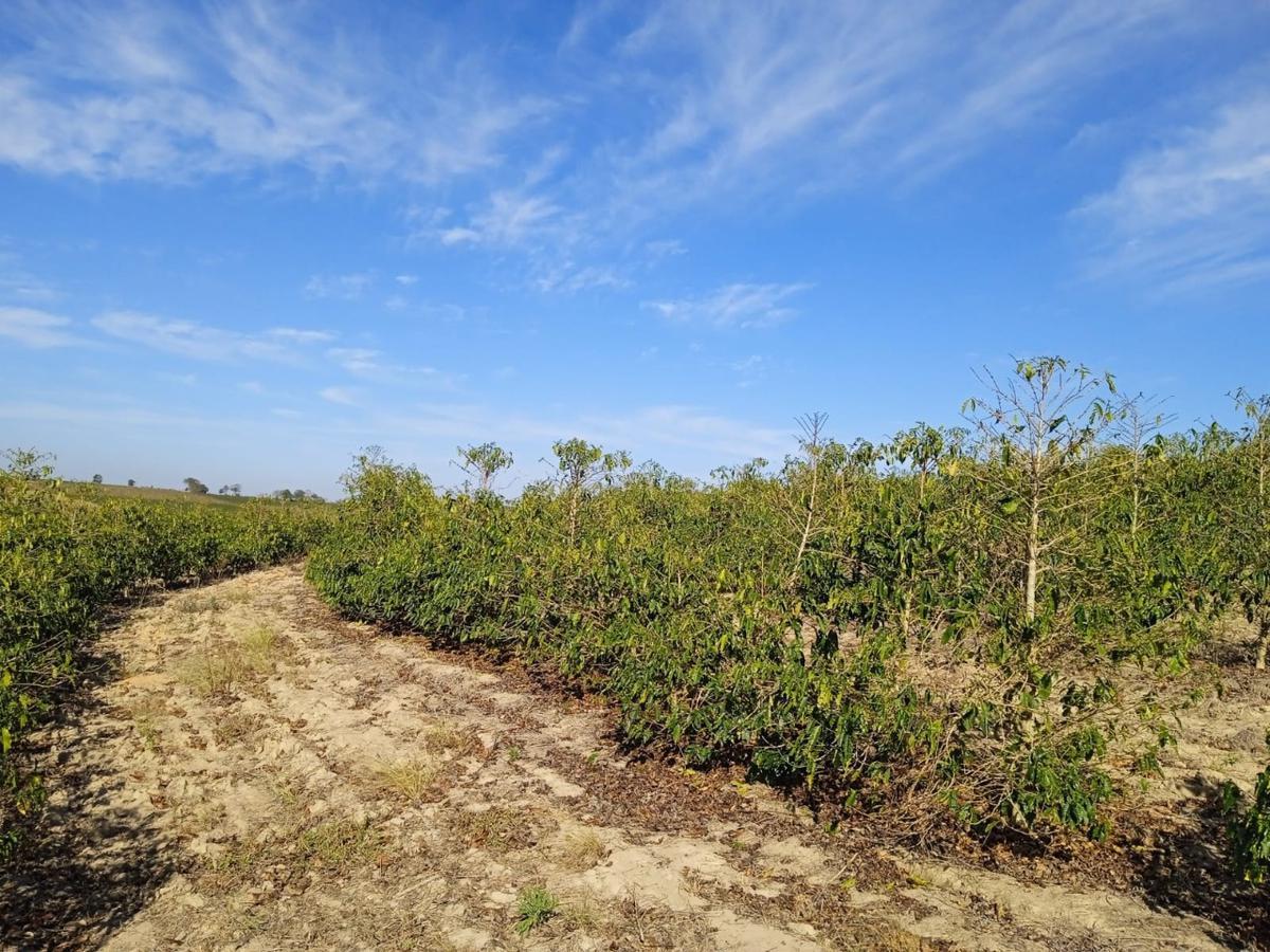 Fazenda, Zona Rural, 0 Quarto, 0 Vaga