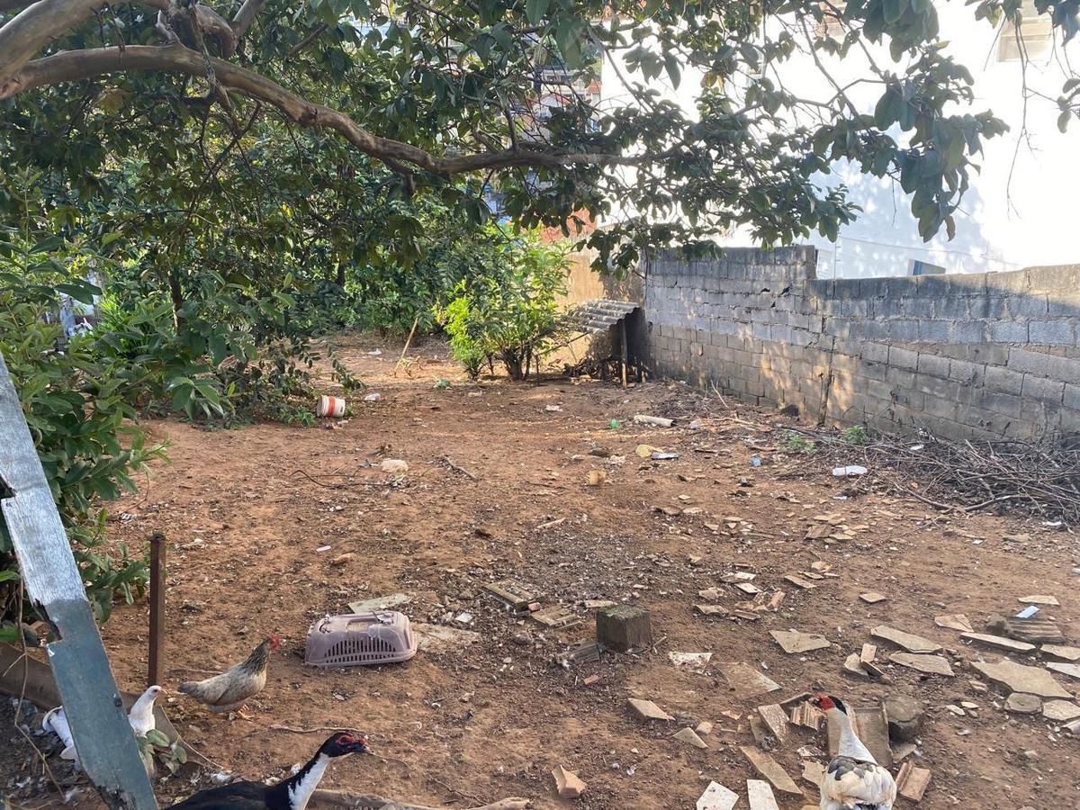 Lote, Três Bicas, 0 Quarto, 0 Vaga