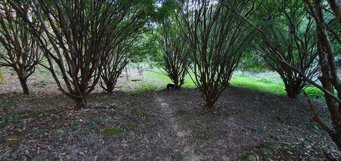 Lote em Condomínio, Marmeleiros