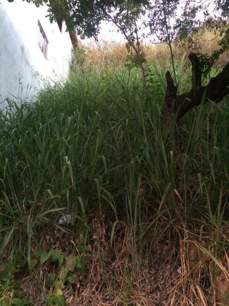 Lote, Nações Unidas, 0 Quarto, 0 Vaga