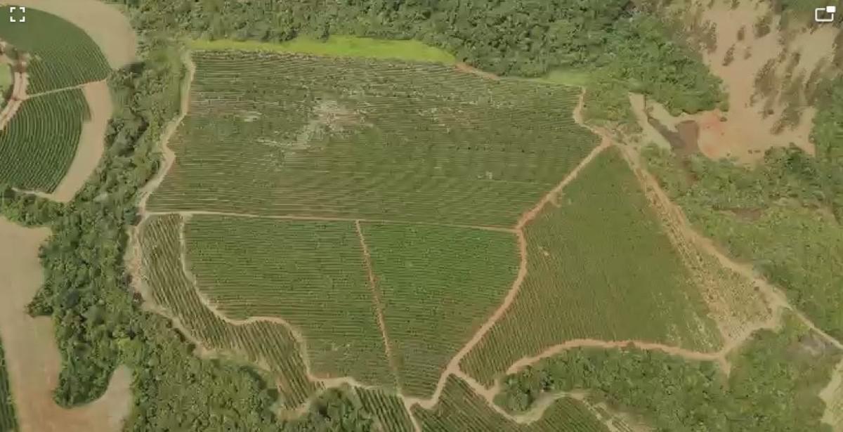 Fazenda, Zona Rural, 0 Quarto, 0 Vaga