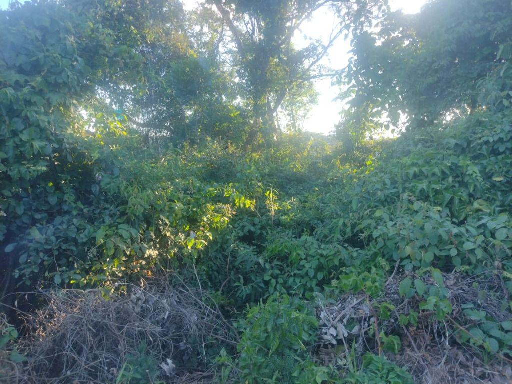Fazenda, Adelmolândia, 0 Quarto, 0 Vaga