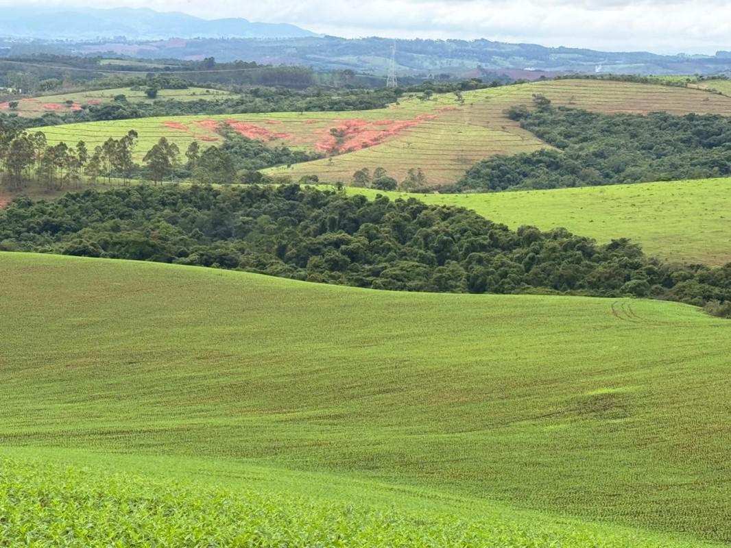 Fazenda, Zona Rural, 0 Quarto, 0 Vaga