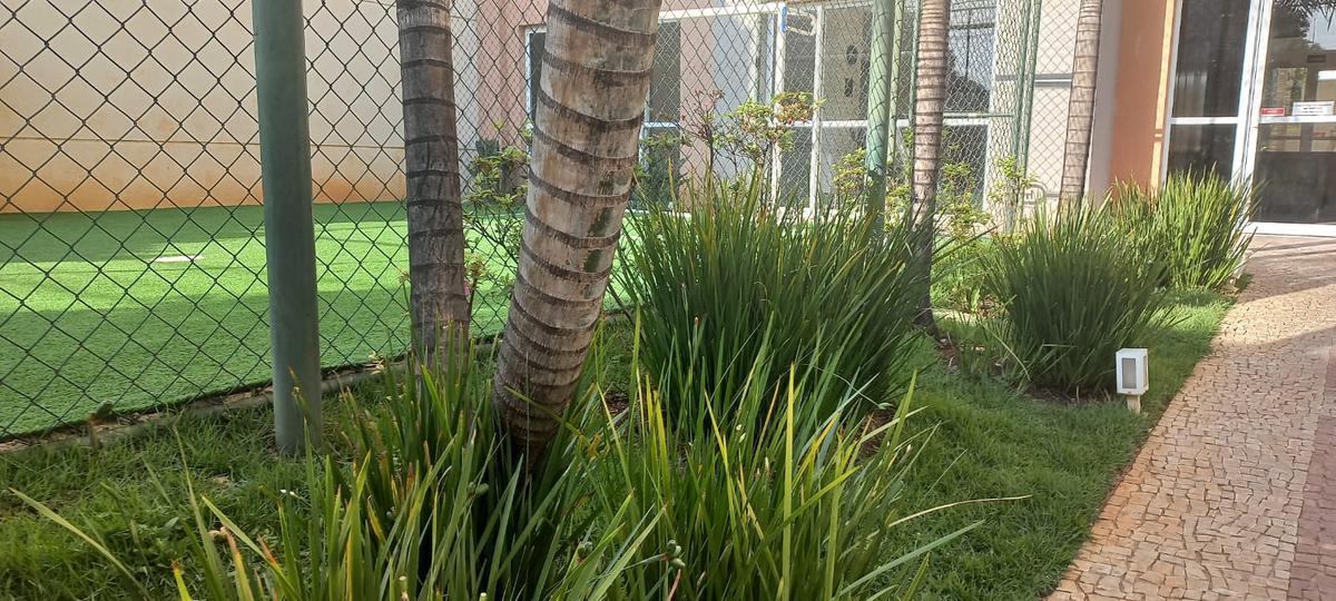 Apartamento, Santa Helena, 2 Quartos, 1 Vaga, 1 Suíte