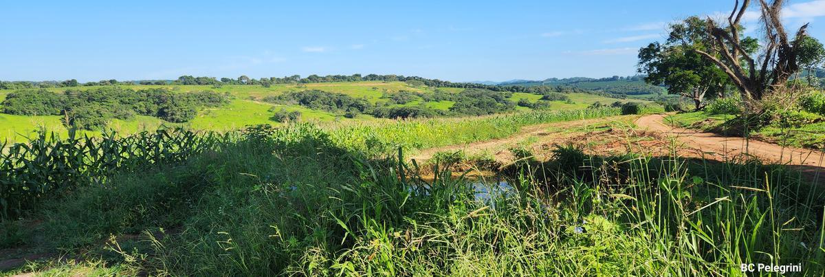 Fazenda, Zona Rural, 0 Quarto, 0 Vaga