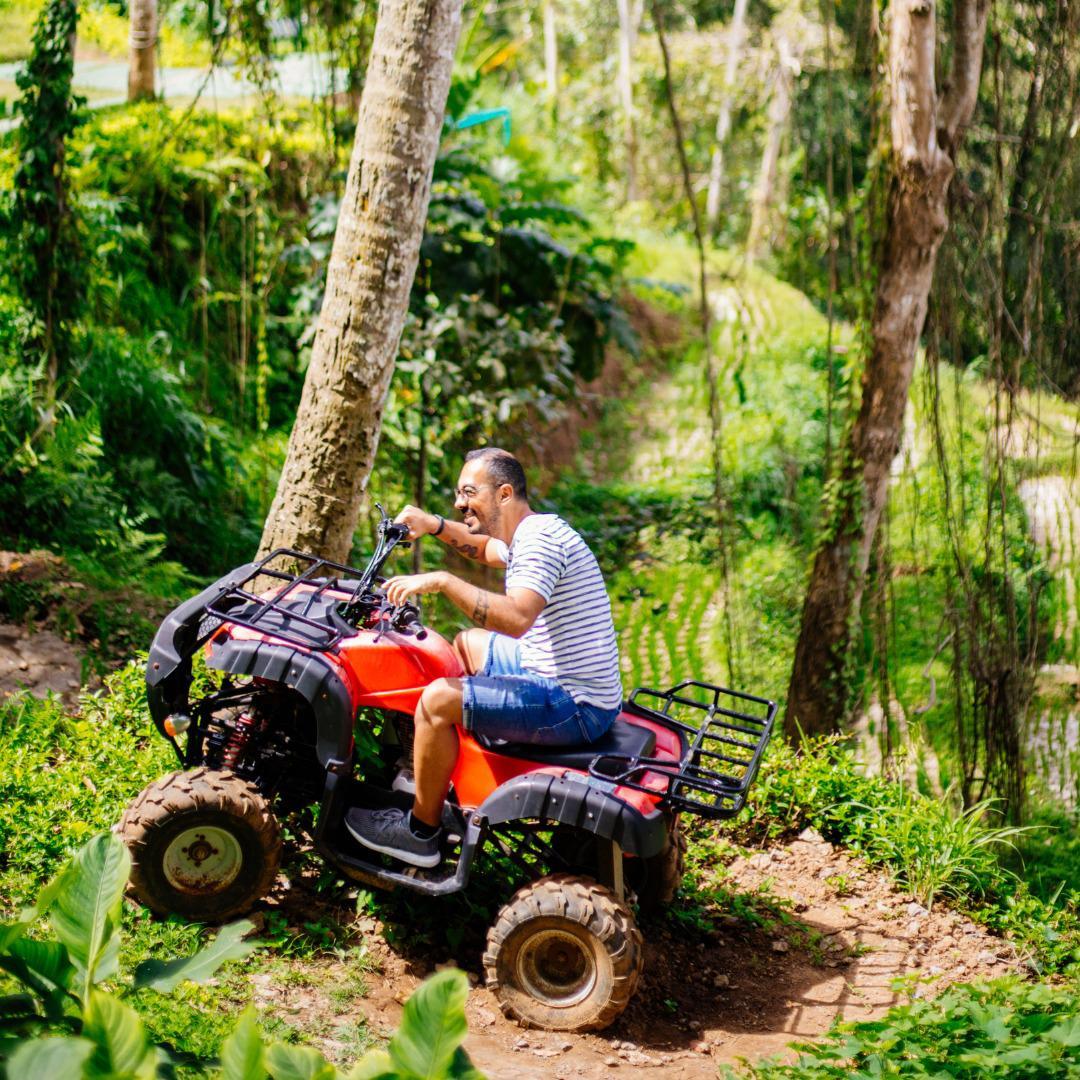 Lote, Saraiva, 0 Quarto, 0 Vaga