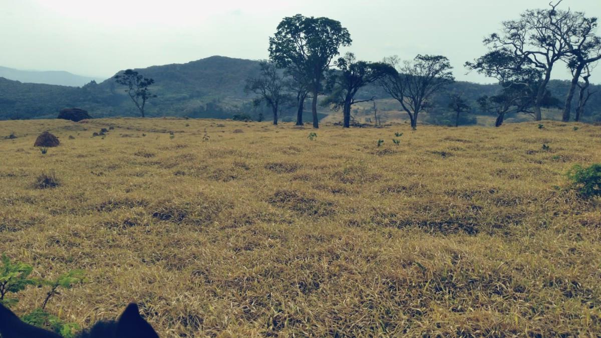 Fazenda, Zona Rural, 0 Quarto, 0 Vaga