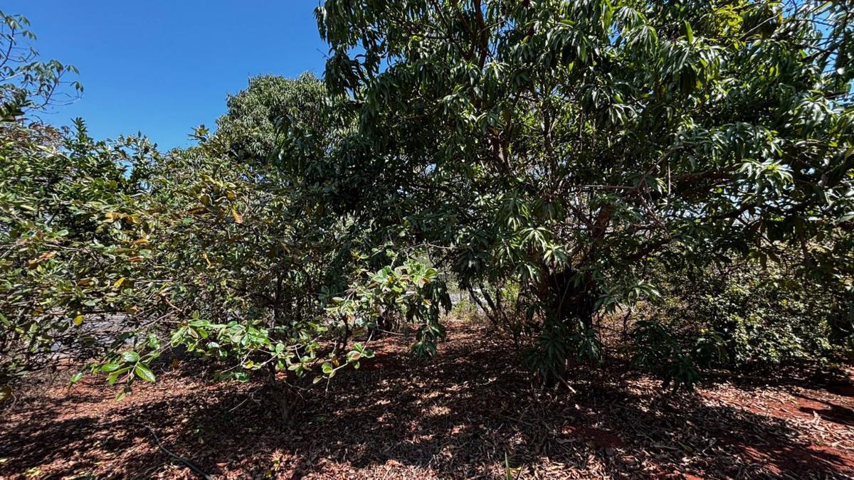 Fazenda, Zona Rural, 3 Quartos, 2 Vagas, 1 Suíte