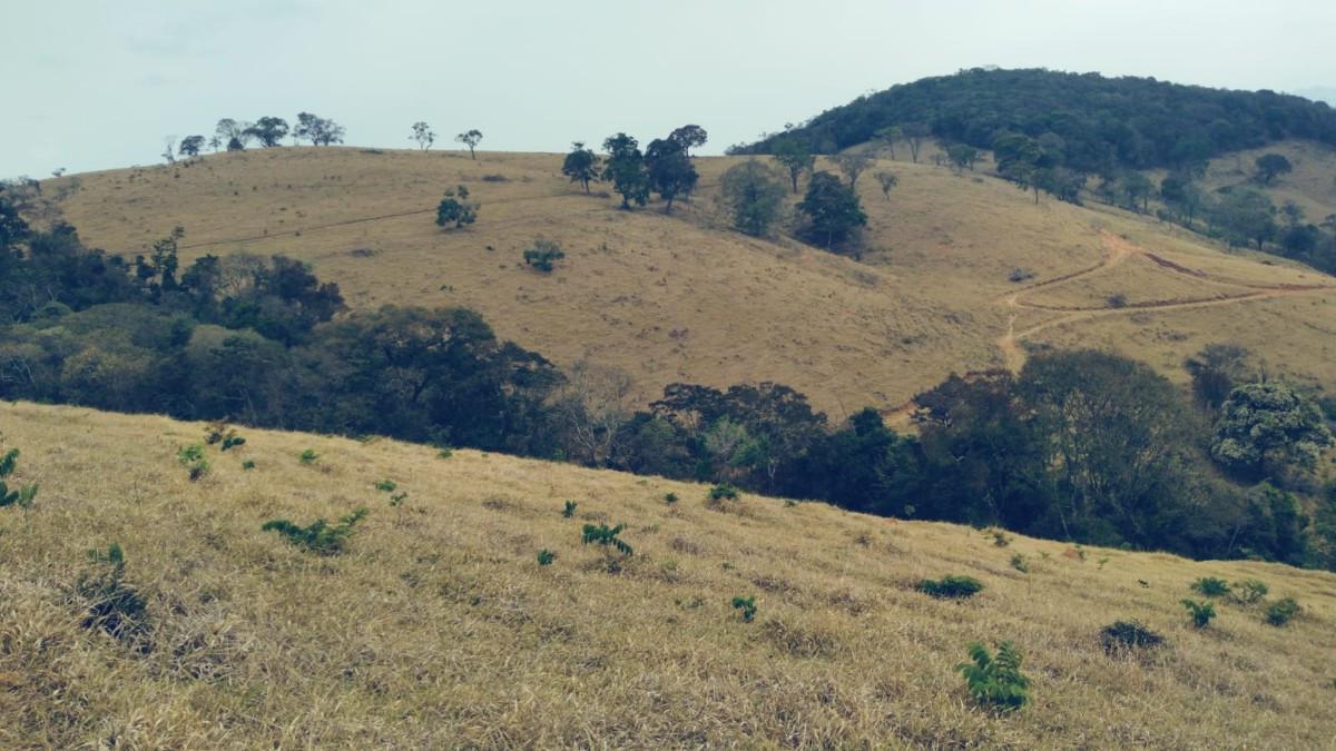 Fazenda, Zona Rural, 0 Quarto, 0 Vaga