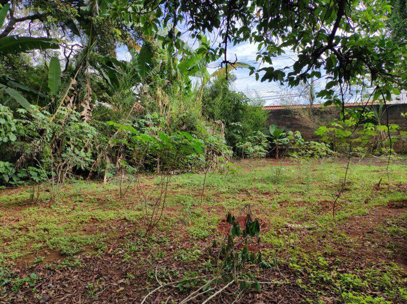 Fazenda, Centro, 6 Quartos, 0 Vaga, 1 Suíte