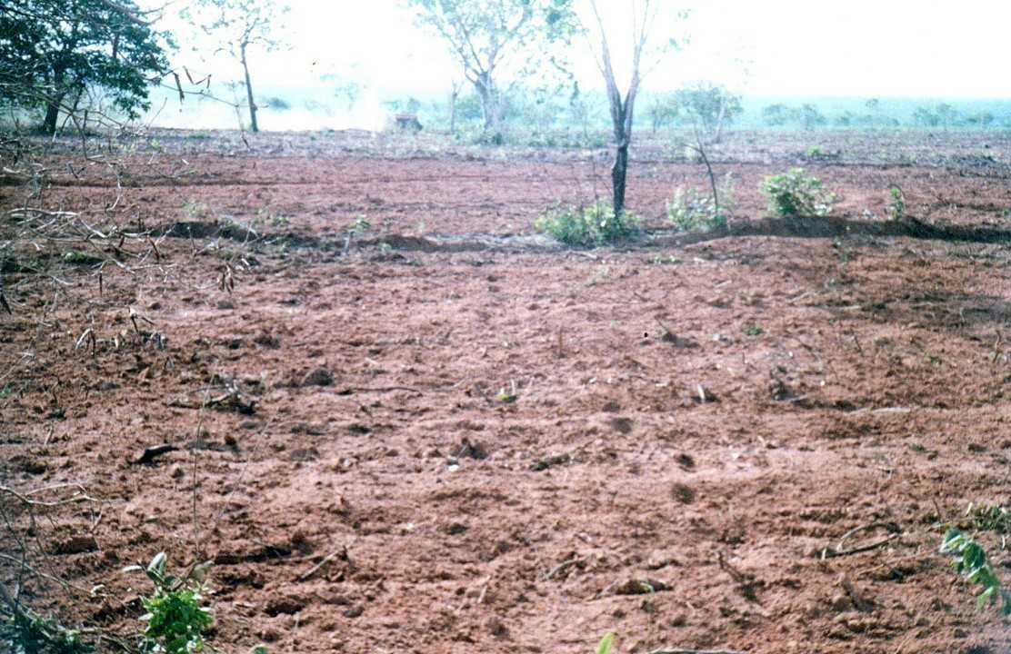 Fazenda, Zona Rural, 3 Quartos, 0 Vaga