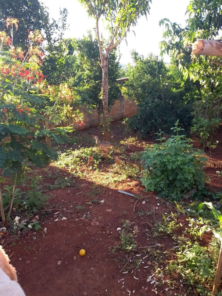 Fazenda, Zona Rural, 3 Quartos, 0 Vaga, 2 Suítes