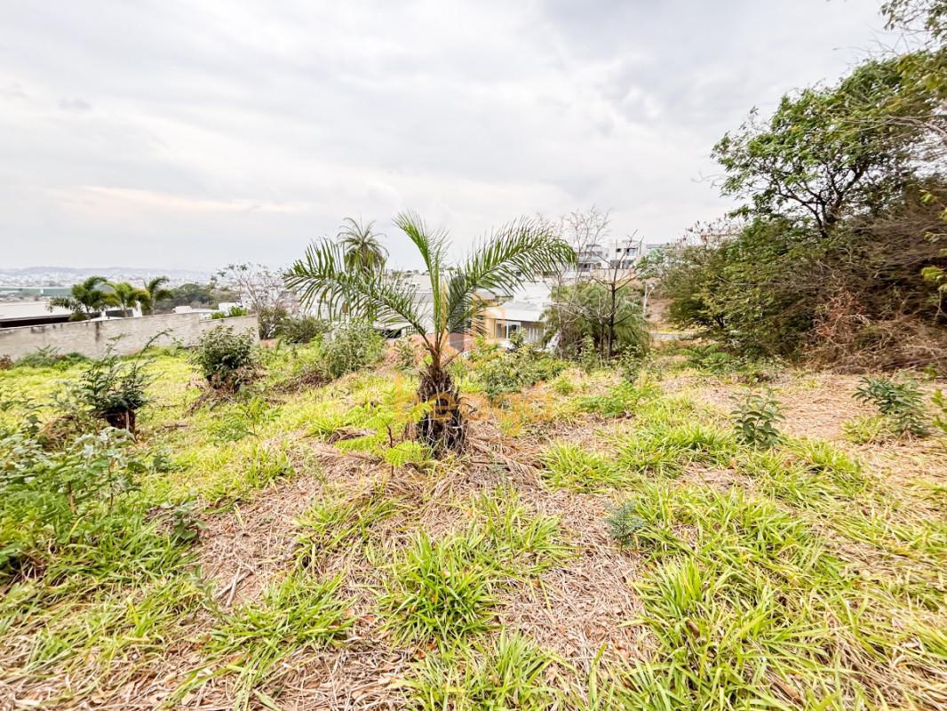 Lote, Portal do Sol, 0 Quarto, 0 Vaga