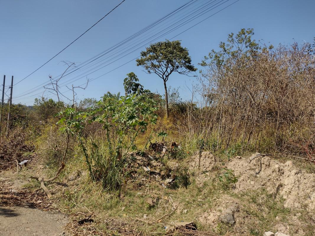 Lote, Chácara São Geraldo, 0 Quarto, 0 Vaga