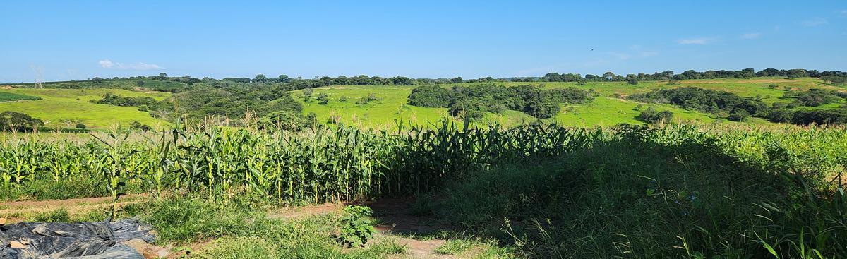 Fazenda, Zona Rural, 0 Quarto, 0 Vaga